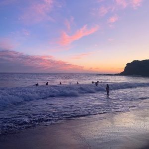 Meet your Posher, Max